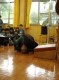 Thumbs/tn_DSC24.jpg