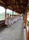 Thumbs/tn_DSC30.jpg